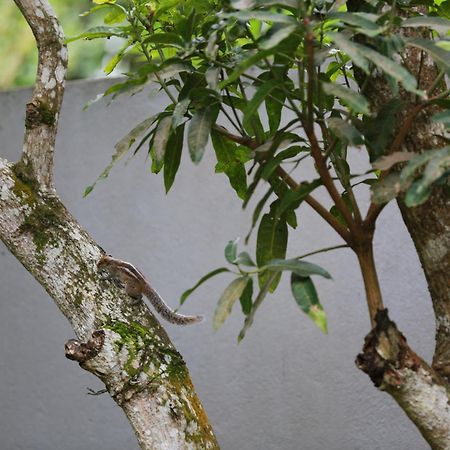 Thambara Villa Unawatuna Bagian luar foto